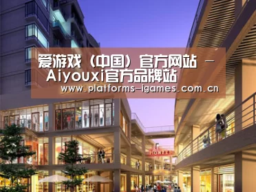 案例展示一(图1)
